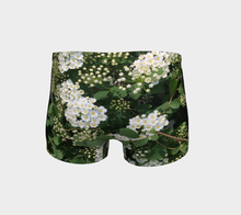 Load image into Gallery viewer, Delight